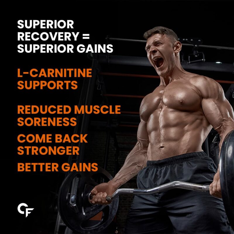 Carbamide Forte L Carnitine L Tartrate 1000mg Capsules for Men & Women | Pre Workout Supplement - 120 Veg Capsules - Image 5