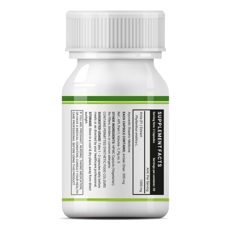 INLIFE Natural Vitamin C Amla Extract Supplement | Immunity, Overall Wellness for Men and Women - 60 Vegetarian Capsules (Pack of 1, 60) - Image 4