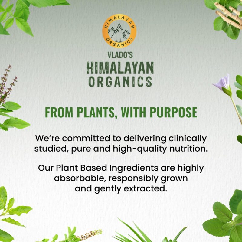 Vlado's Himalayan Organics Vitamin C Tablets from Natural Fruits | Immnunity, Antioxidant & Skin Care | 120 Veg Tablets - Image 8