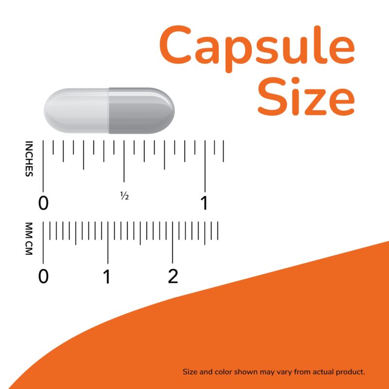 Now Foods Dandelion Root 500mg - 100 Veg Caps - Image 5